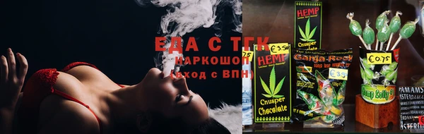 тгк Володарск