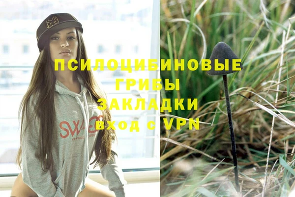 тгк Володарск