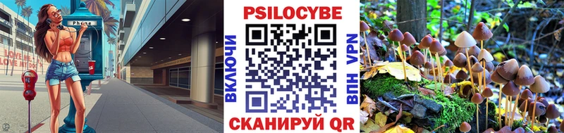 наркотики  блэк спрут ONION  Псилоцибиновые грибы GOLDEN TEACHER  Чистополь 